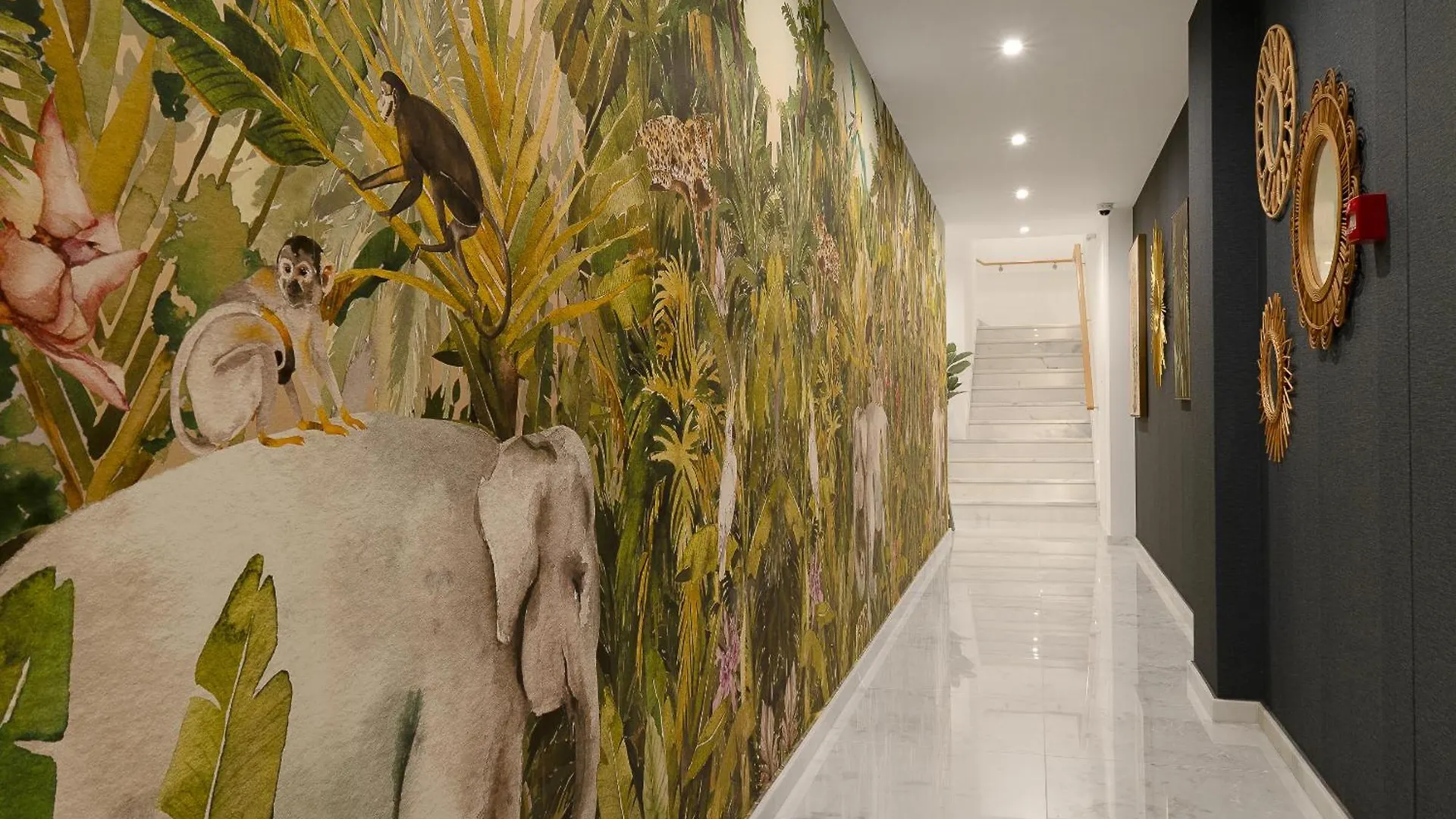 Safira Suites 201 Funchal  Apartment