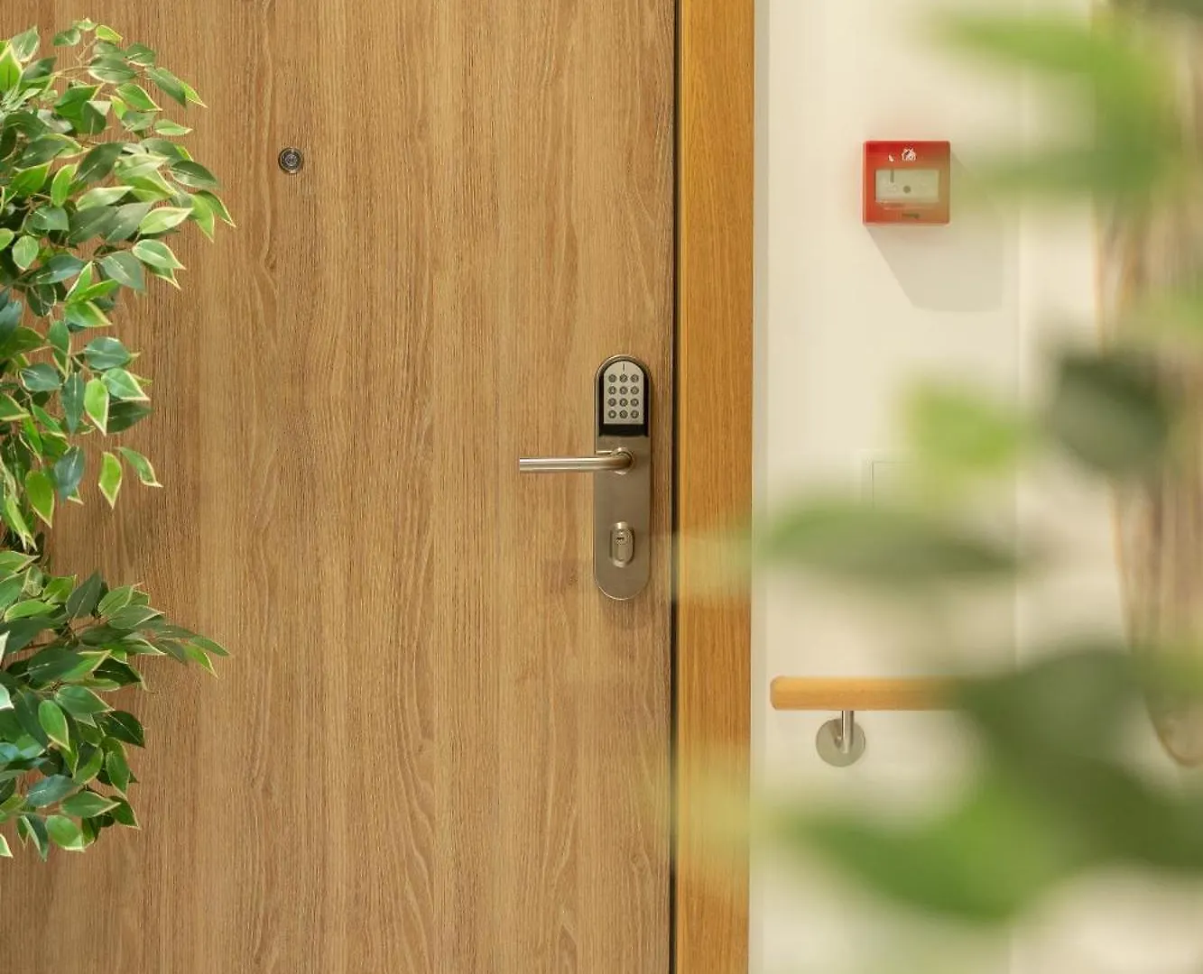 Safira Suites 201 Funchal  Apartment Funchal (Madeira)