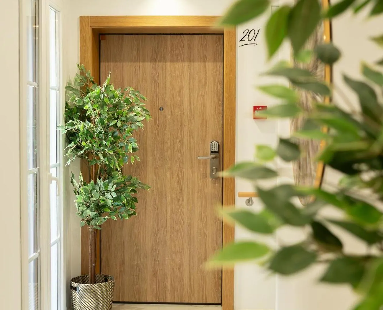 Apartment Safira Suites 201 Funchal